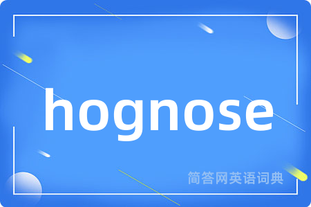 hognose