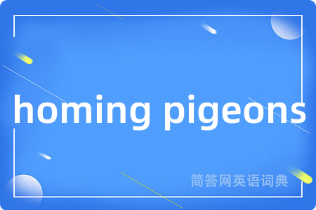 homing pigeons是什么意思,homing pigeons的中文翻译 homing pigeons