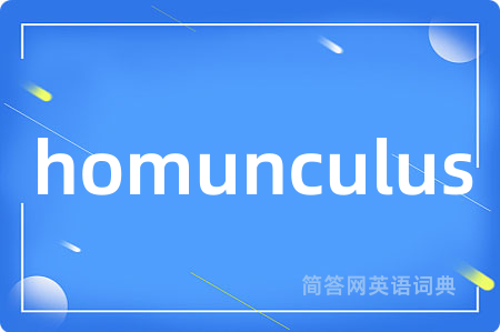 homunculus