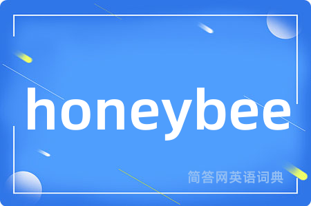 honeybee