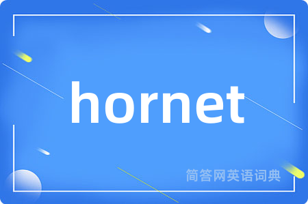 hornet