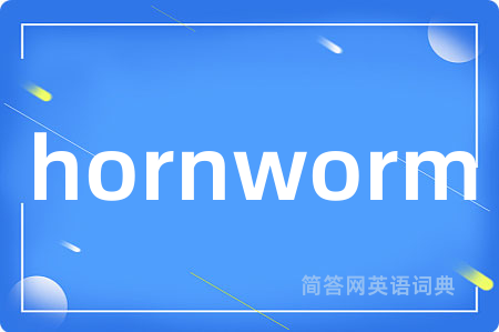 hornworm