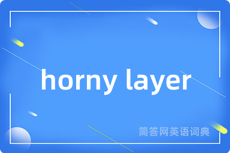 horny layer