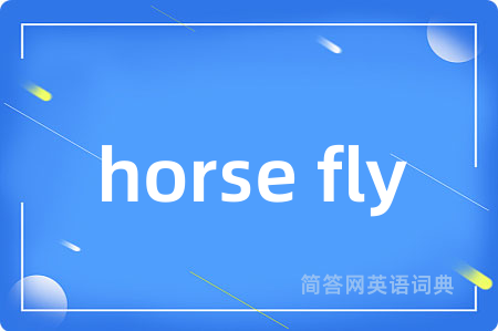 horse fly