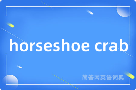 horseshoe crab是什么意思,horseshoe crab的中文翻译 horseshoe crab
