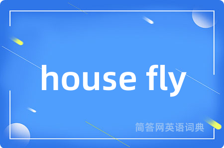 house fly是什么意思,house fly的中文翻译 house fly