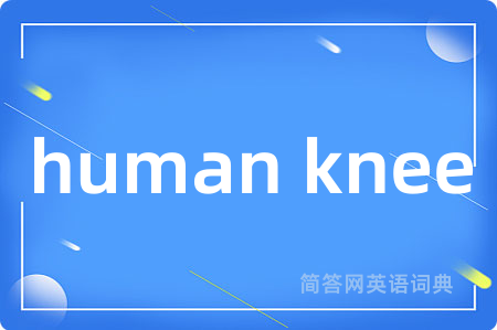 human knee