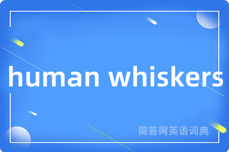 human whiskers