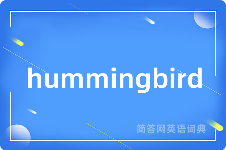 hummingbird