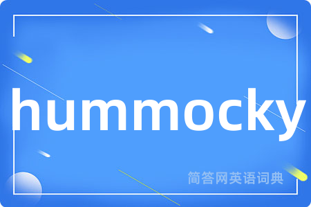 hummocky是什么意思,hummocky的中文翻译 hummocky