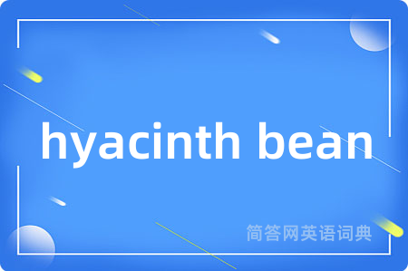 hyacinth bean