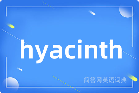 hyacinth