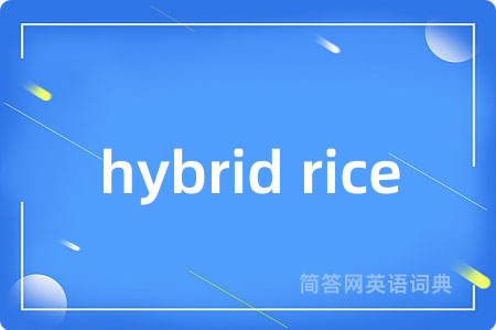 hybrid rice是什么意思,hybrid rice的中文翻译 hybrid rice