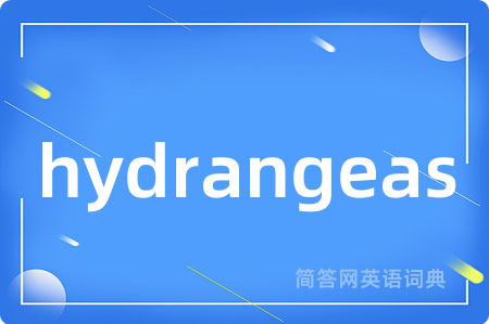 hydrangeas是什么意思,hydrangeas的中文翻译 hydrangeas
