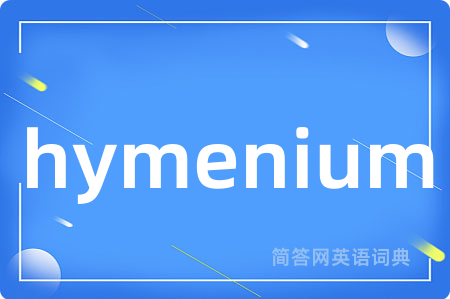 hymenium