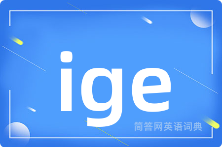 ige是什么意思,ige的中文翻译 ige