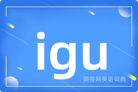 igu是什么意思,igu的中文翻译 igu