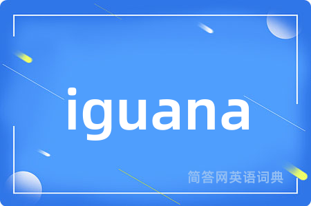 iguana