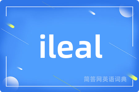 ileal是什么意思,ileal的中文翻译 ileal