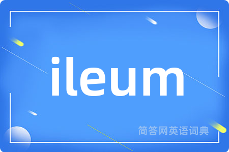 ileum