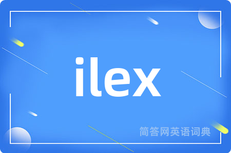 ilex
