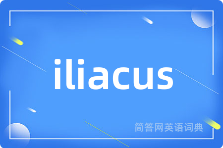 iliacus