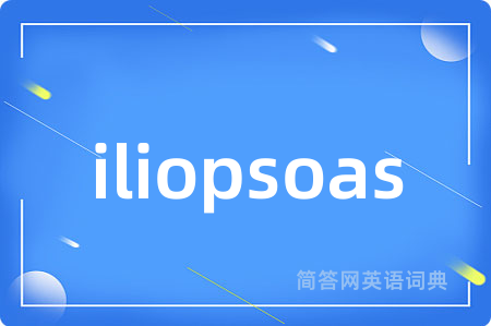 iliopsoas是什么意思,iliopsoas的中文翻译 iliopsoas