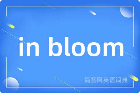 in bloom