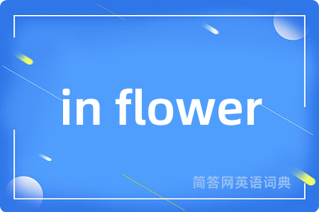 in flower