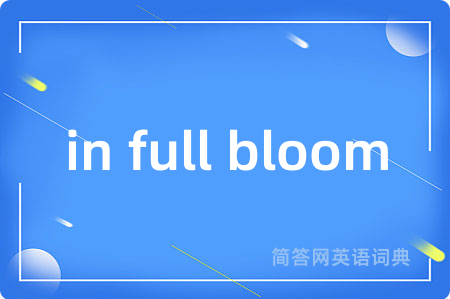 in full bloom