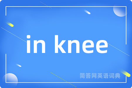 in knee是什么意思,in knee的中文翻译 in knee