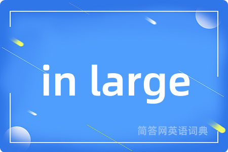 in large是什么意思,in large的中文翻译 in large