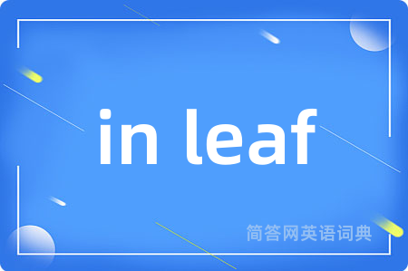 in leaf