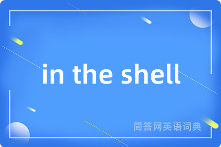 in the shell