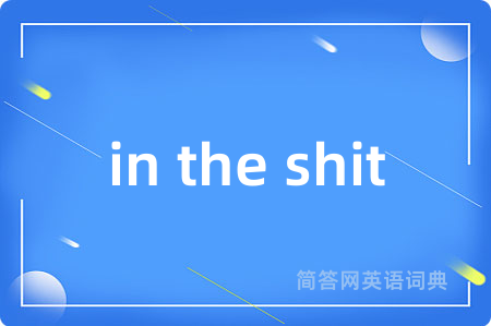 in the shit