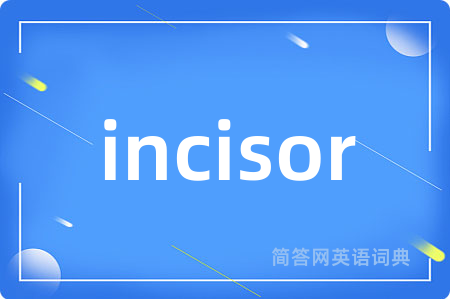 incisor