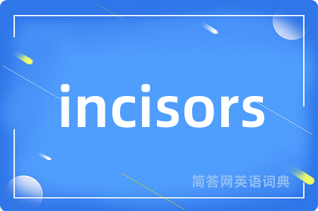 incisors