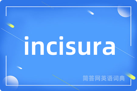 incisura是什么意思,incisura的中文翻译 incisura