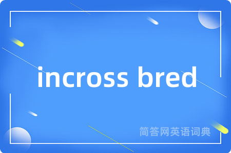 incross bred