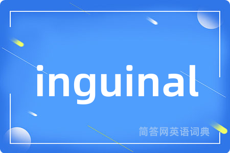 inguinal是什么意思,inguinal的中文翻译 inguinal
