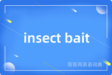insect bait