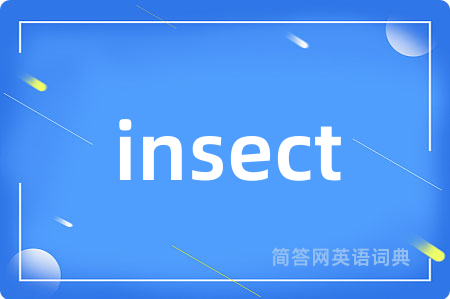 insect