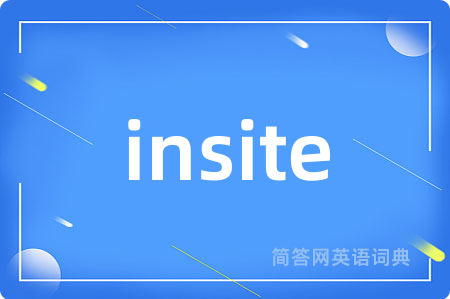 insite是什么意思,insite的中文翻译 insite