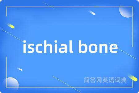 ischial bone