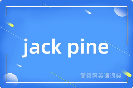 jack pine