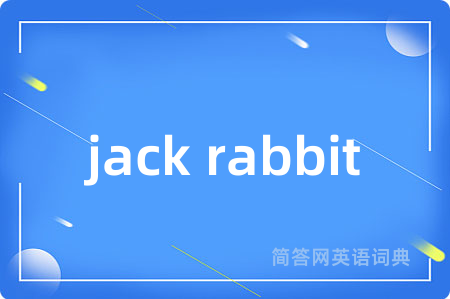 jack rabbit