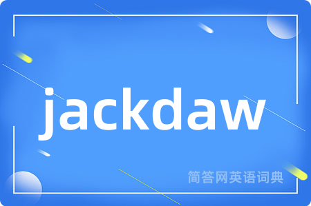 jackdaw