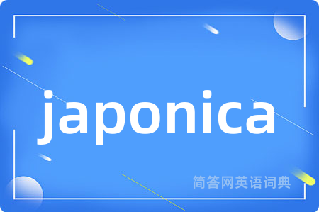 japonica