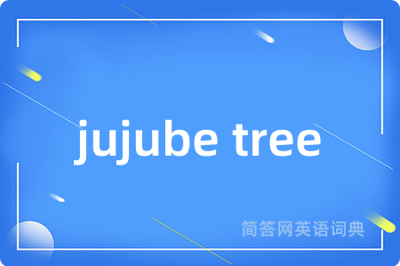 jujube tree
