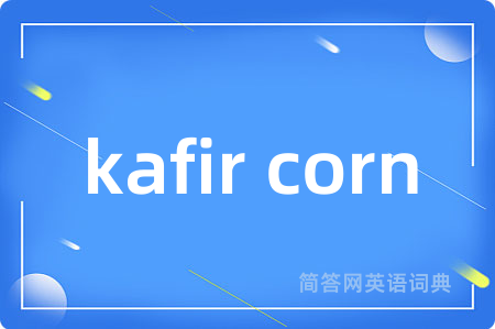 kafir corn